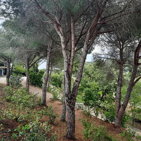 Leonida Lejlighed Capoliveri (Isola d'Elba)