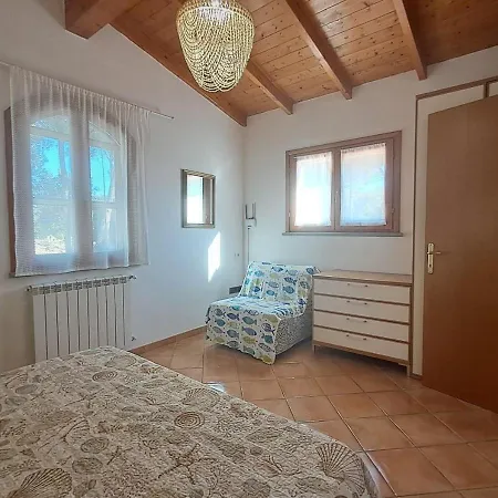 Leonida