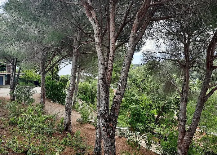 Leonida Appartement Capoliveri (Isola d'Elba)